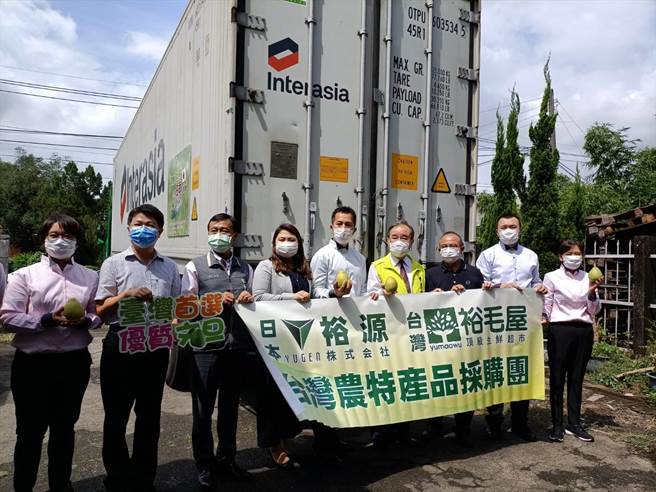 農糧署去年成功打開文旦外銷日本市場，今年預計輸日50公噸以上，首批12公噸13日在台灣省青果運銷合作社裝櫃。（陳淑娥攝）