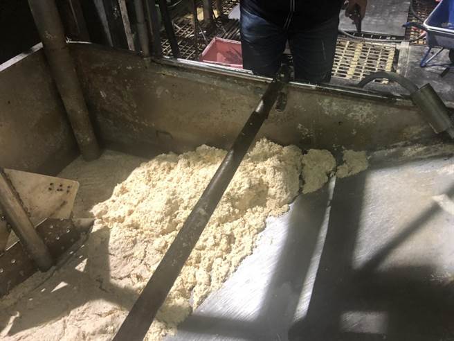 清水有养猪场业者改用豆渣喂猪，被误认为是厨余。（农业局提供／陈淑娥台中传真）