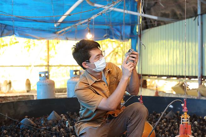 型农走出传统经验法则，让「养鸡」到贩售的流程，都能精确合宜并以数据化管理。（图片提供/大野山鸡）
