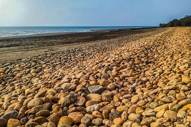 水利署补助新竹县办理海岸防护工程设置的抛石护岸，海委会指新丰海岸发现有藻礁分布，是藻礁最南端生长的地方。（罗浚滨摄）