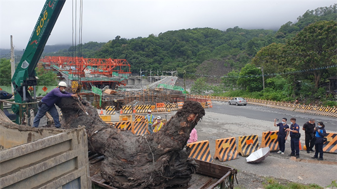 六龟警方于11日颱风夜侦破一件偷运牛樟木的案件。（翻摄照片／林瑞益高雄传真）