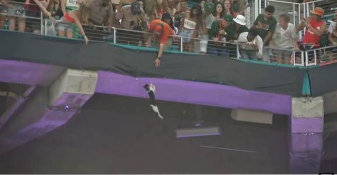 美式足球賽期間，觀眾忙著拯救1隻被困受的小貓。(圖/youtube)