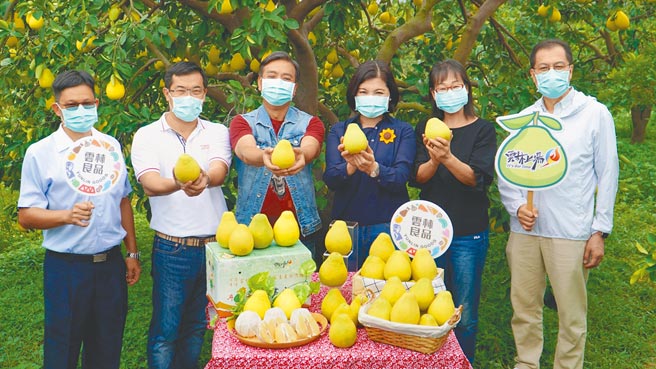 斗六文旦口感细致甜中带酸，果肉丰甜带有微酸的独特风味，县长张丽善（右三）与演员王中平（右四）强力推荐。（云林县政府提供／周丽兰云林传真）