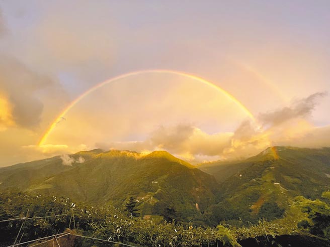 福寿山农场在颱风前夕出现罕见金黄色彩虹，彷佛人间仙境般美丽。（福寿山农场提供／陈淑娥台中传真）