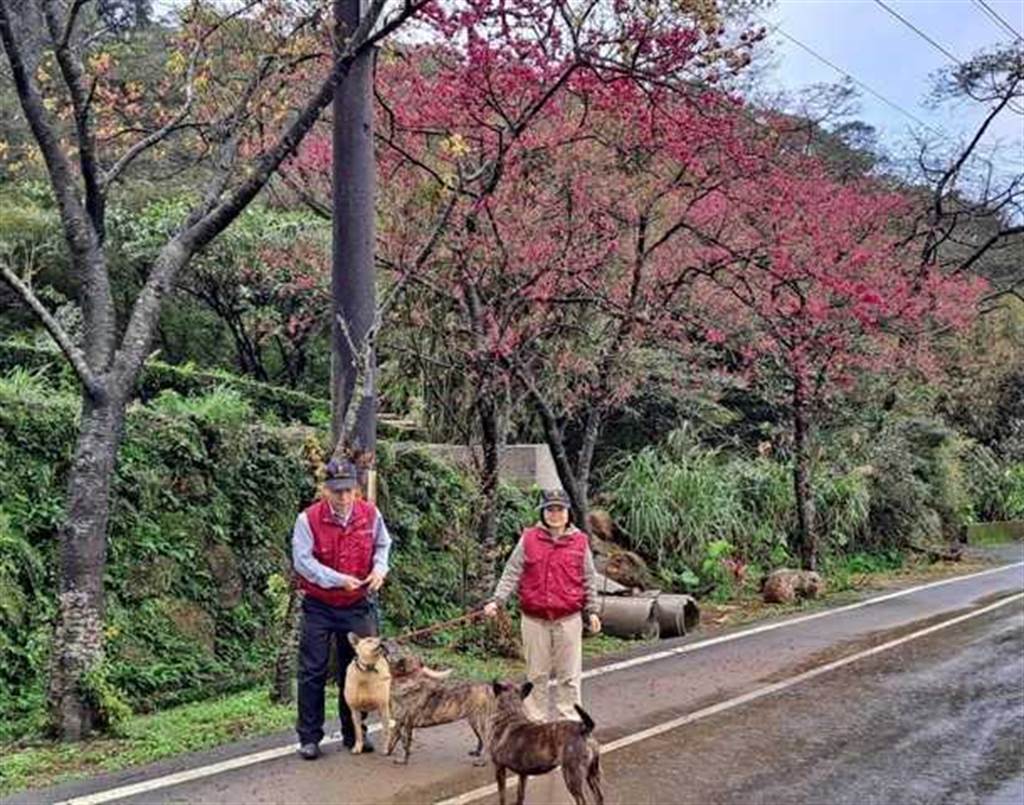 提升动物权新北动保处号召民眾守护邻里笼链犬 生活 中时