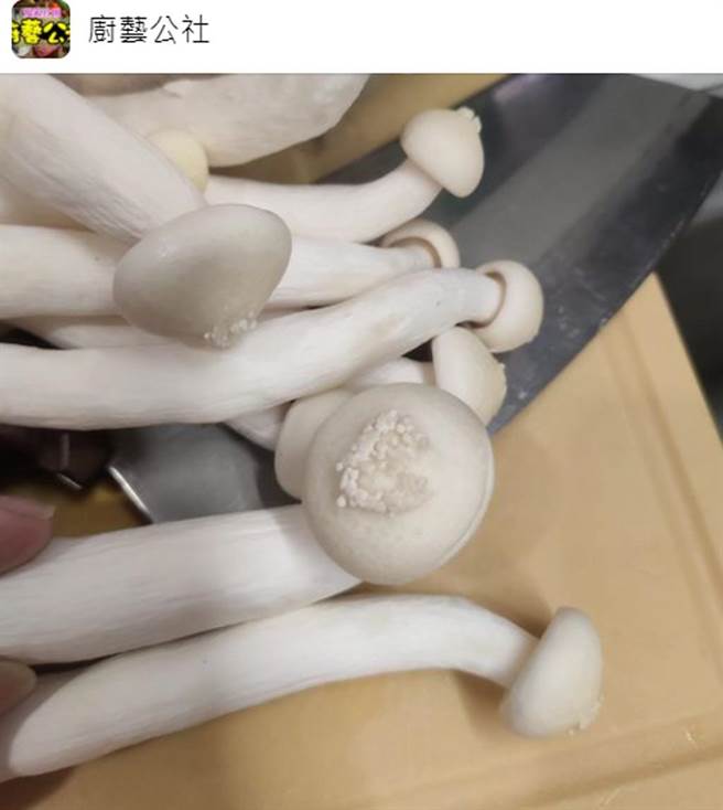 「菇上长菇」的奇特景象，让网友戏称「长菜花」了。（翻摄脸书社团《厨艺公社》）