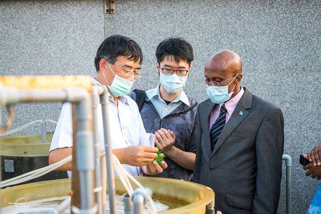 海洋中心助理研究员张睿升带领大使罗伦，实际参访藻类培养现场。（国立台湾海洋大学提供／陈彩玲基隆传真）