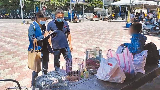 桃園廖姓女子（右）14日帶鸚鵡、兔子和蜜袋鼯等62隻動物等候登船時遭其他乘客懷疑虐待動物報警，台東縣動物防疫所人員到場協助清點。（民眾提供／蔡旻妤台東傳真）