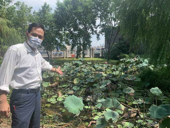 市議員張耀中指出，原本的親水綠地變成疑似無人管理的秘境。（市議員張耀中提供）