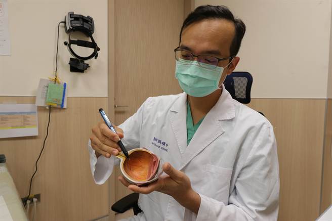 亞洲大學附屬醫院視網膜科主任張耀中在人體眼睛器官模型上，指出患者後玻璃體剝離位置。（林欣儀攝）