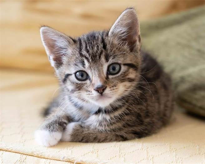 (示意图/达志影像)