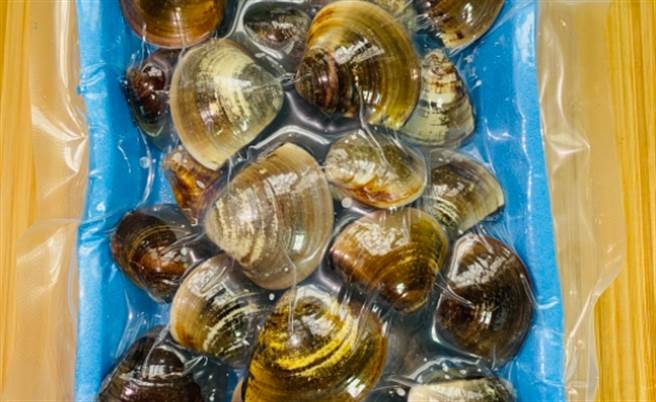 真空冷藏包装的蛤蜊除在休眠状态，能延长保鲜时间。(图/本报系资料照片)