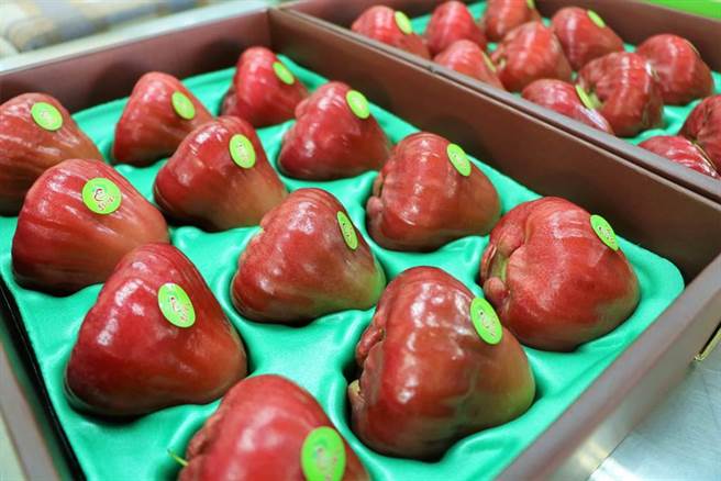 中国海关昨日以验出虫害为由，自9月20日起禁止台湾释迦、莲雾输陆。（谢佳潾摄）