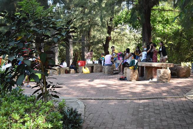 在竹南头份科技公司工作的菲籍移工，利用难得的连假到假日之森聚会。（谢明俊摄）