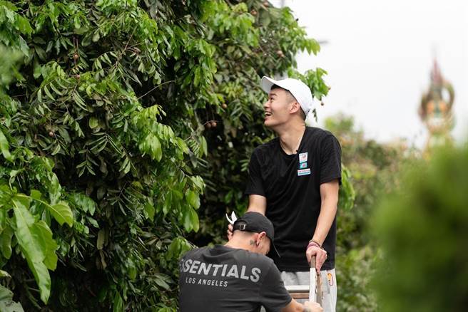 羽球金牌戰將王齊麟與大家一起爬高剪龍眼。（好看娛樂提供）