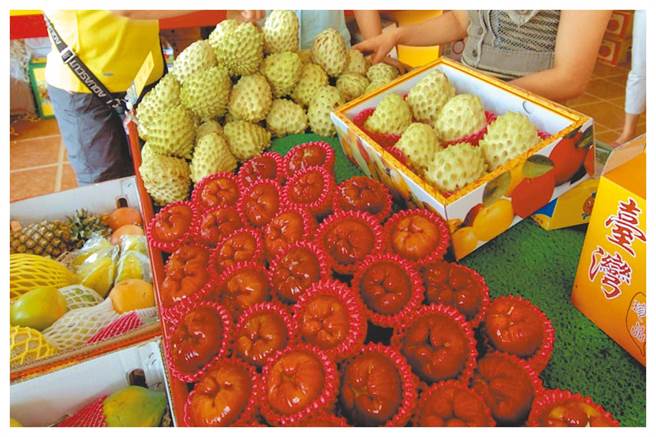 大陆19日宣布自9月20日起暂停禁止台湾释迦、莲雾输陆。（中时资料照）