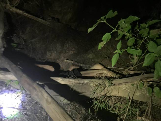 走失的蔡姓老翁滑落邊坡，卡在樹枝內動彈不得。（警方提供）