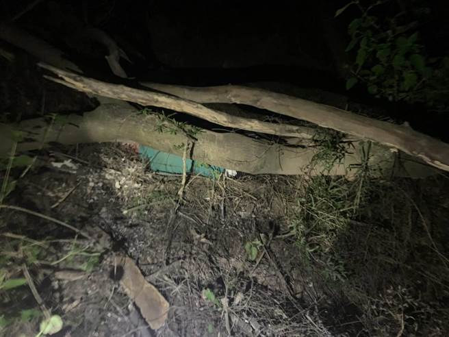 走失的蔡姓老翁滑落邊坡，卡在樹枝內動彈不得。（警方提供）