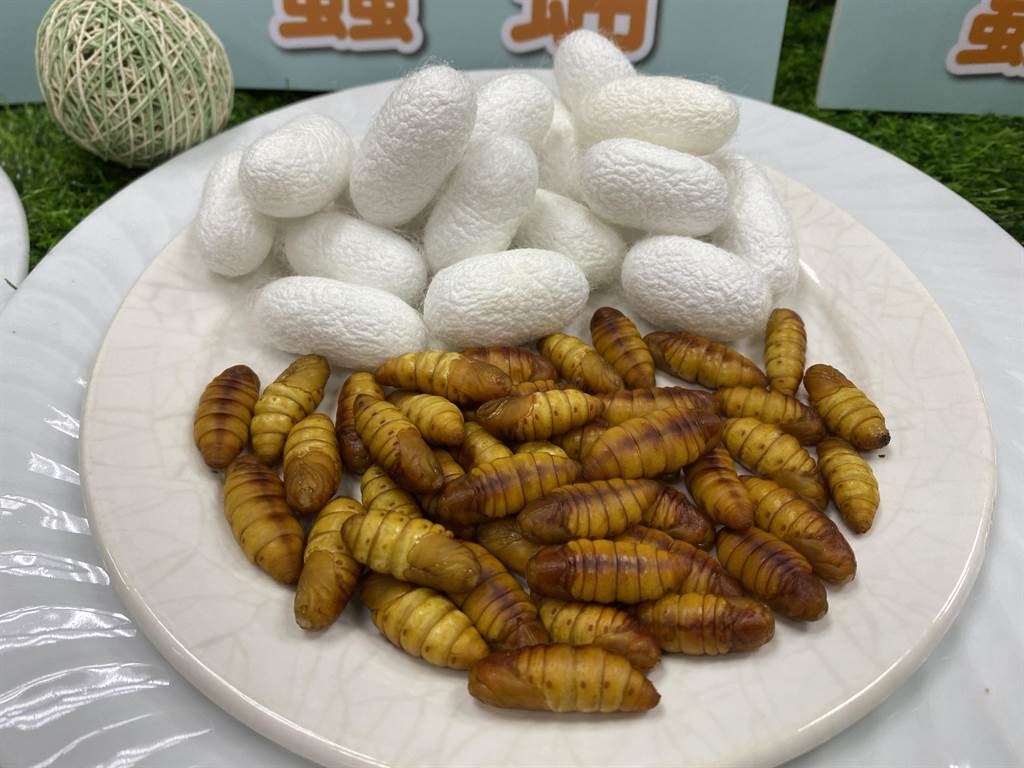 農委會苗栗農改場利用家蠶所具有的特殊免疫特性，在化蛹過程中誘導產生天然抗菌胜肽，利用具有抗菌物質的蠶蛹成功研發推出「蠶蛹配方」，可有效抑制動物腸道壞菌生長，顯示貓咪有便臭味明顯減輕、肌肉緊實、毛髮光亮、食慾提升等，高達7成挑食的貓咪也吃得津津有味。（苗改場提供）