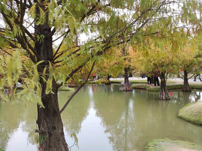 秋分时节，天气冷暖变化频繁，气候乾燥，万物将随阳气下沉而逐渐萧落。（张妍溱摄）