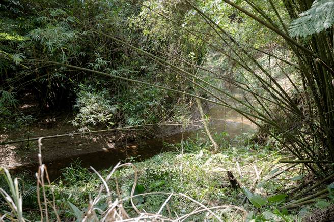 三峽福德坑溪下游每遇大雨就會暴漲，溪岸恐有流失之虞，導致周邊農地、民宅受損；農業局承諾將納入明年將辦理河川護岸整治工程改善。（江怡臻提供）