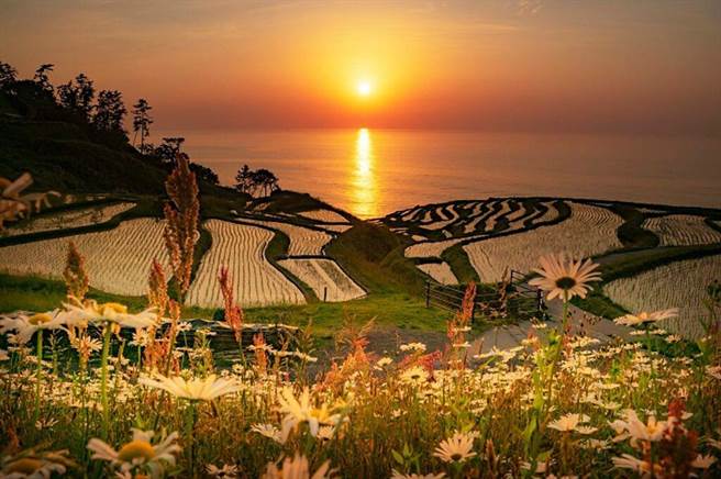 位於石川縣能登半島的白米千枚田，每年春天引水灌溉搭上夕照美景，總令人流連忘返。(圖/旅奇傳媒、石川縣提供)