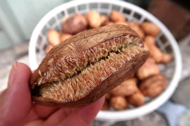 国民党立委马文君赴南投县信义乡，了解当地名产爱玉相关商品产制情形。（图／取自马文君脸书）