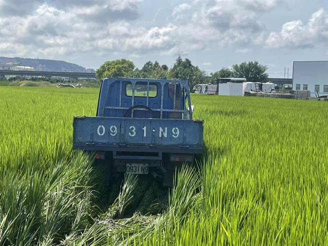 苗栗縣苑裡鎮苗140線、玉豐七路口，23日下午發生車禍，肇事貨車衝入路旁稻田。（苗栗縣消防局第4大隊提供／謝明俊苗栗傳真）
