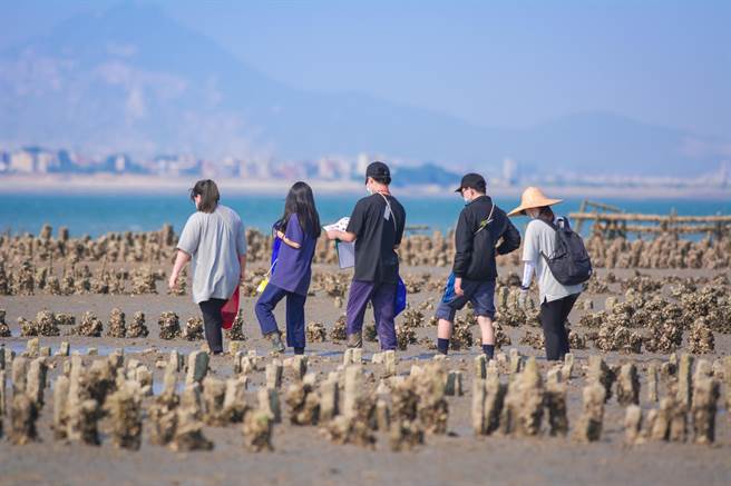 學員走進北山潮間帶，一步一腳印進行生態觀察。（金管處提供）