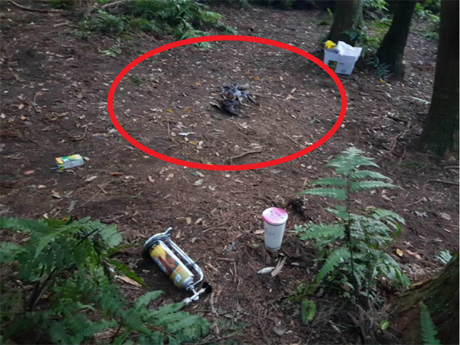 劇組人員點燃雜木，濃煙燻到樹上虎頭蜂巢，引發虎頭蜂攻擊事件。（圖／李文正翻攝）