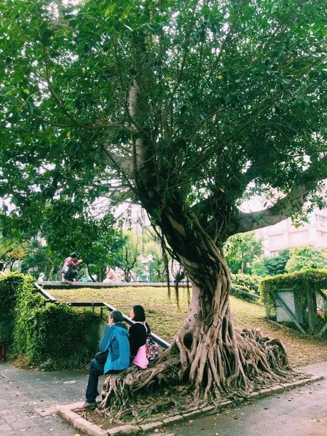 四四南村。（作者提供）