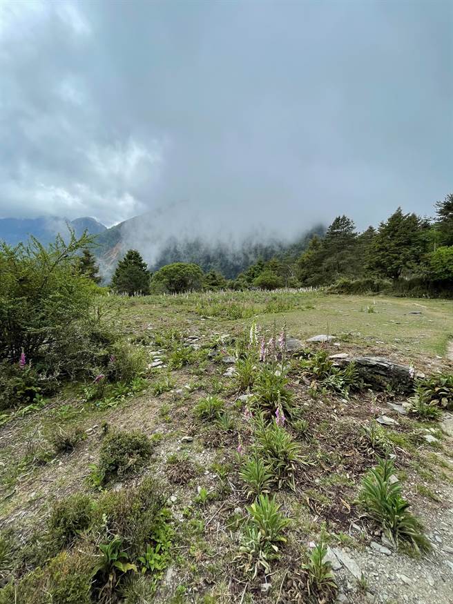 觀高停機坪被擅自搭帳棚，引發軒然大波。（玉管處提供／廖志晃南投傳真）