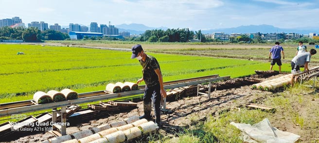 桃园自2015年起办理青年从农辅导计画，运用产官学合作辅导青年在农业理论及实务面打好基础。（桃园市政府同业局提供／陈梦茹桃园传真）