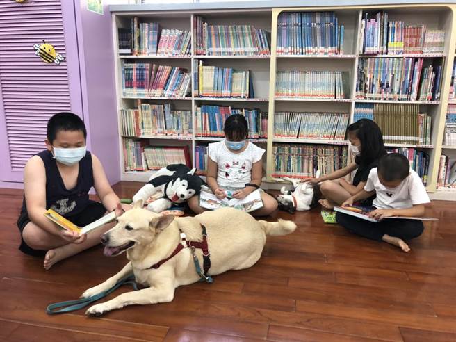 高雄市動保處訓練的狗狗伴讀書僮，不僅吸睛，更讓不少原本躁動的孩童，變安靜了。(高雄市動保處提供／林雅惠傳真)