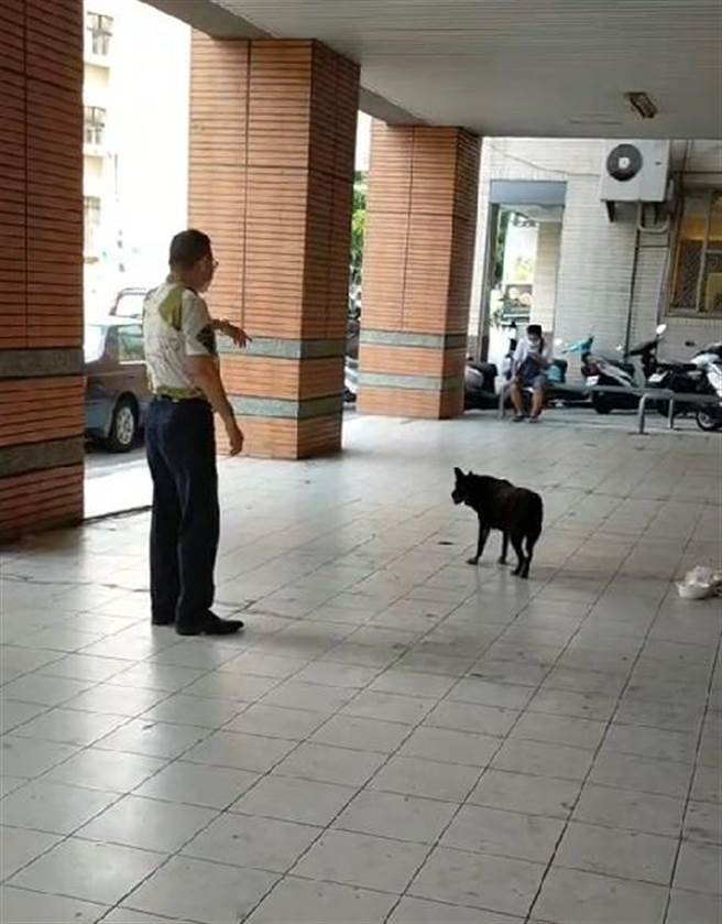 斗六市公所公用课、清洁队人员9日去骑楼清消与整理，虚弱的小黑爬起来亦步亦趋跟随，信义里长施耀斐对小黑说：「你的主人去做仙了，我们来帮他整理东西。」小黑似乎有听懂，乖乖走到旁边趴下，眼神显得落寞，清洁队员最后留下一辆脚踏车。（资料照片）