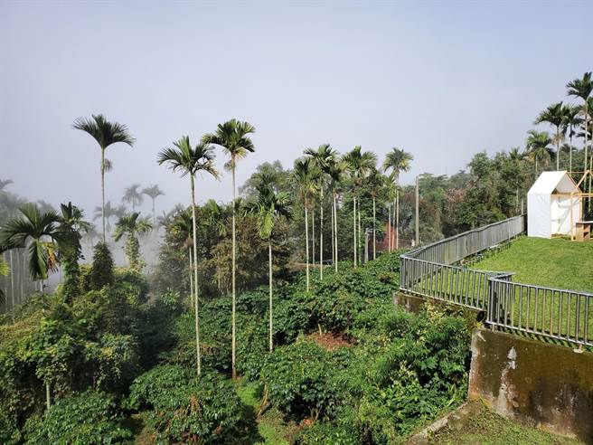 华山教育农园风景令人心旷神怡。（周丽兰摄）