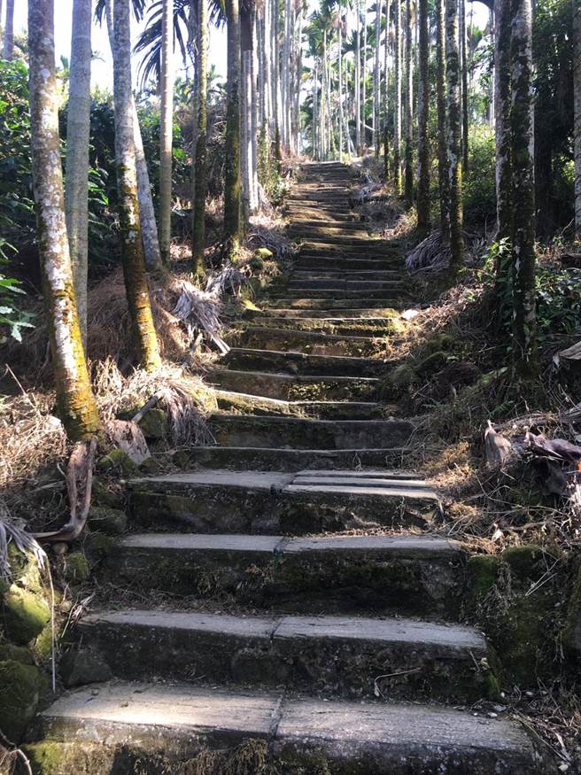 云林县华山教育农园位于海拔700公尺的山上，附近有多个登山步道可挑战脚力。（周丽兰摄）