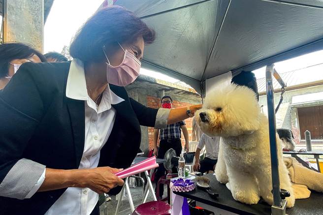 宜蘭縣寵物嘉年華今天在中興文創園區登場，縣長林姿妙與寵物互動，盼能與縣民共同努力，讓宜蘭成為動物友善城市。（李忠一攝）