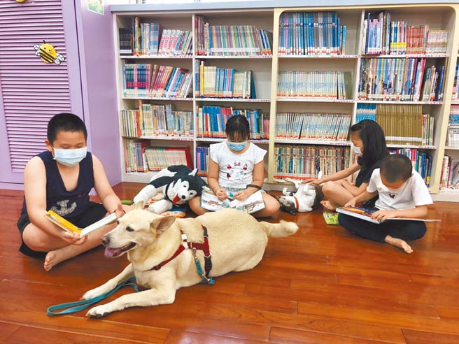 高雄市动保处训练的毛孩伴读书僮，不仅吸睛，更让不少原本躁动的孩童，变安静了。（高雄市动保处提供／林雅惠传真）