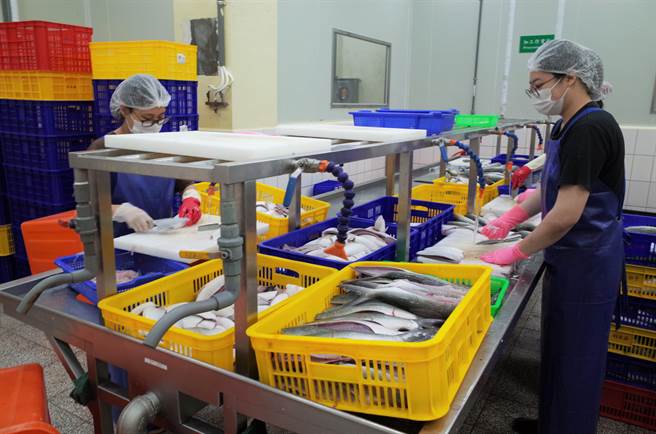 高雄市弥陀区渔会加工厂将投入600万经费改善，未来渔会渔产加工设备将更完善。（邱志伟服务处提供／林瑞益高雄传真）