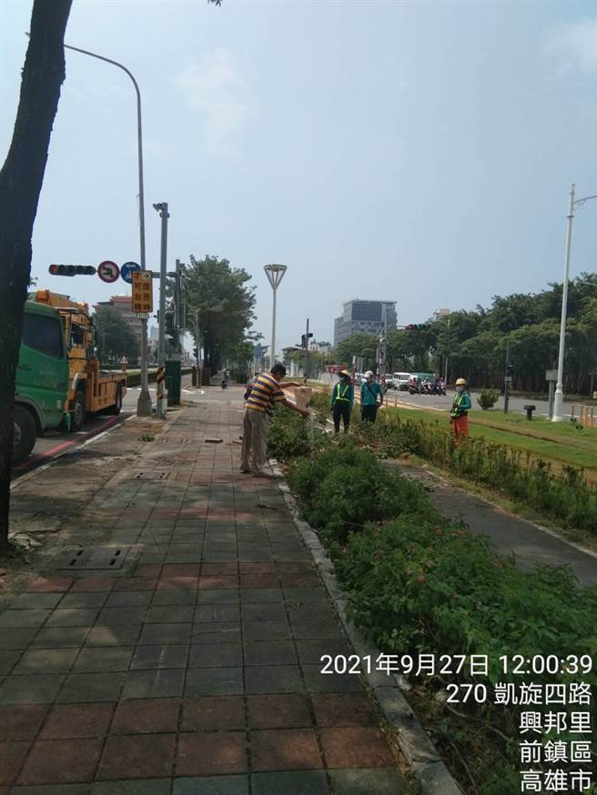 意外發生當下，僅人行道旁樹叢被毀壞，工程人員到場檢視復原。（翻攝照片／石秀華高雄傳真）