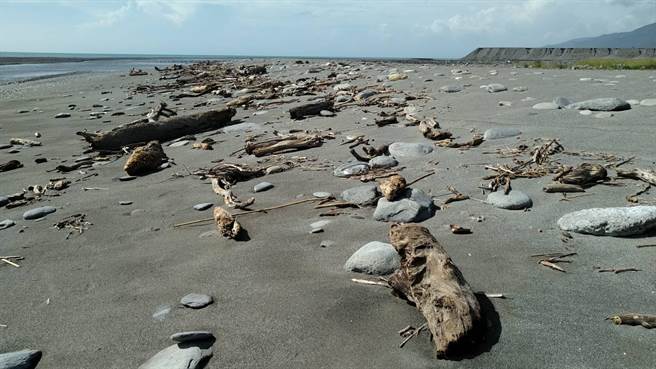 台東林管處公告，28日起台東海岸地區開放漂流木自由撿拾。（台東林管處提供）