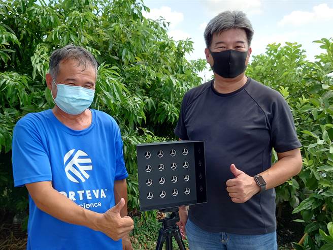 埤头乡农民谢茂兴每年被野鸟吃掉超过50台斤的芭乐，今年他不忍了，向厂商租用陈列式超音波驱鸟器，短短一周就不再有野鸟光顾，让他直呼太讚了。（吴建辉摄）