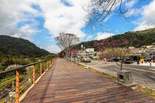 内湾120线（右）在近油罗溪路段是向内拓宽4米，不会拆除油罗溪木栈道。（罗浚滨摄）