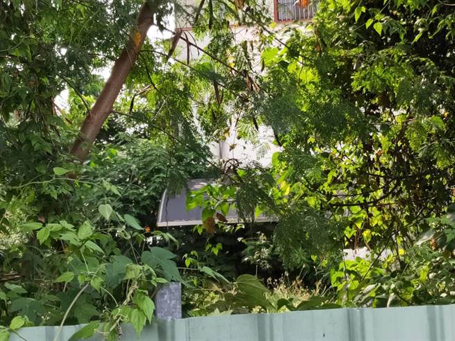 台中市太平区一处废弃工寮，28日13时39分左右有民眾散步经过，发现遮雨棚有异状。（民眾提供／冯惠宜台中传真）