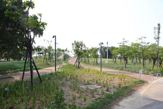 「城镇之心」的植栽浇灌水源主要取自金城污水厂处理后的放流水，不会造成水资源负担。（县府观光处提供）