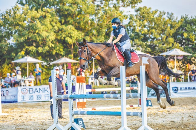 新竹县长杯马术锦标赛的障碍超越赛，可看出坐骑好坏与训练程度。（罗浚滨摄）
