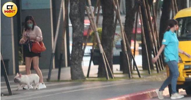 聚餐中途杨晨熙开车赶回家与宠物店碰头，将狗狗接回家中。（图／本刊摄影组）