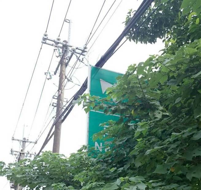 國道1離奇命案，東湖交流道草叢驚見屍體警封鎖現場。(東湖交流道旁示意圖/中時資料庫)