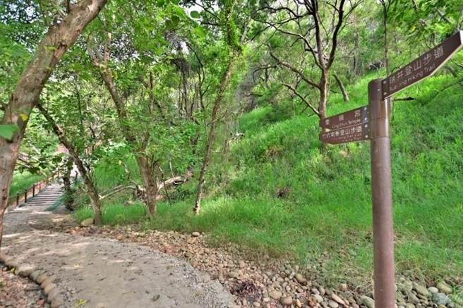 瑞井登山步道是山友溯古寻幽的户外生态教室。（台中市观旅局提供／王文吉台中传真）